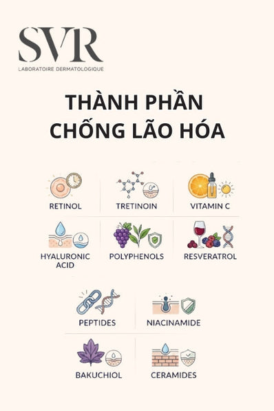 thành phần chống lão hóa